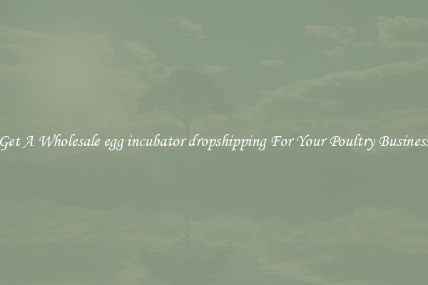 Get A Wholesale egg incubator dropshipping For Your Poultry Business
