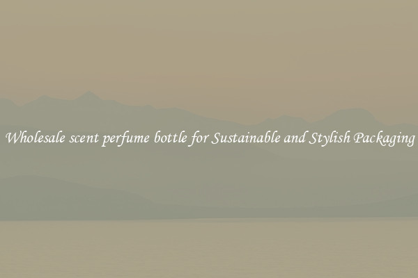 Wholesale scent perfume bottle for Sustainable and Stylish Packaging