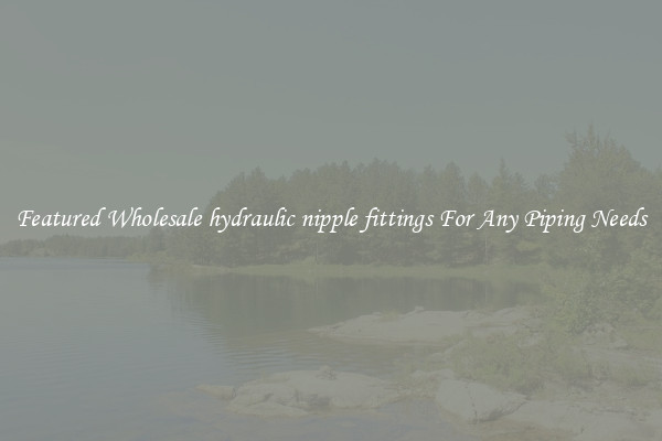 Featured Wholesale hydraulic nipple fittings For Any Piping Needs