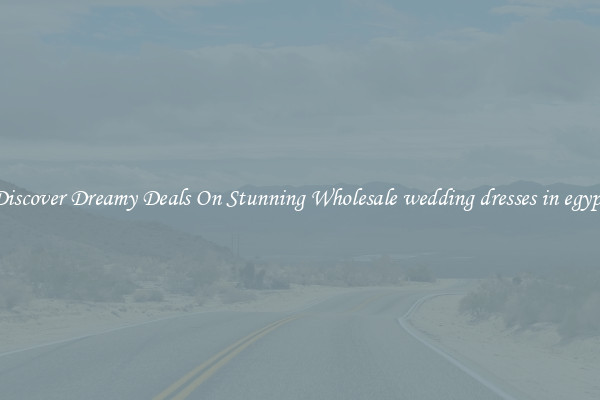 Discover Dreamy Deals On Stunning Wholesale wedding dresses in egypt