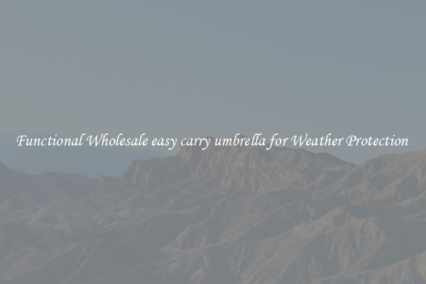 Functional Wholesale easy carry umbrella for Weather Protection 