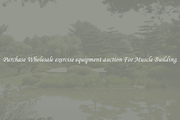 Purchase Wholesale exercise equipment auction For Muscle Building.