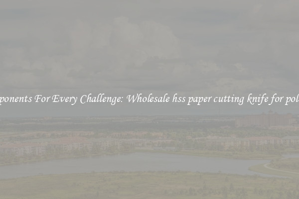 Components For Every Challenge: Wholesale hss paper cutting knife for polar 92