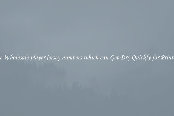 The Wholesale player jersey numbers which can Get Dry Quickly for Printing