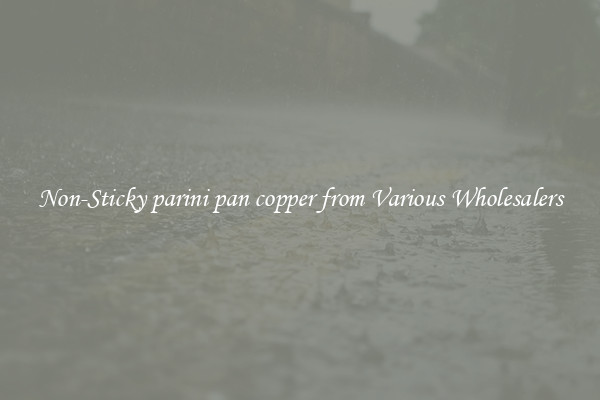 Non-Sticky parini pan copper from Various Wholesalers