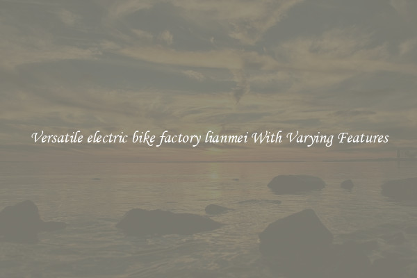 Versatile electric bike factory lianmei With Varying Features