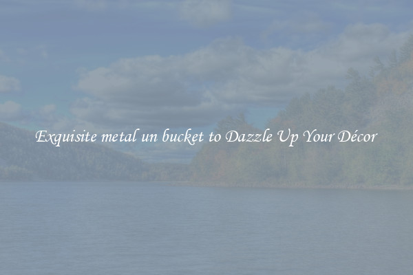 Exquisite metal un bucket to Dazzle Up Your Décor 