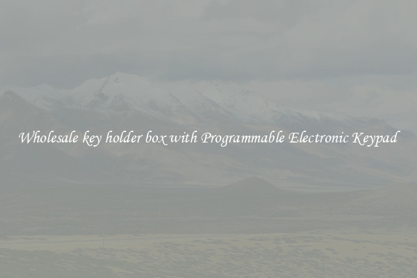 Wholesale key holder box with Programmable Electronic Keypad 