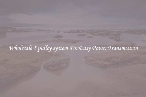 Wholesale 5 pulley system For Easy Power Transmission