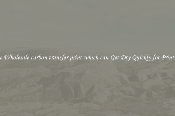 The Wholesale carbon transfer print which can Get Dry Quickly for Printing