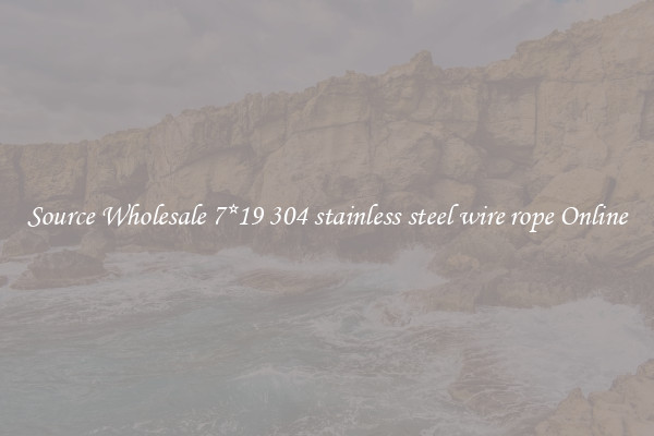 Source Wholesale 7*19 304 stainless steel wire rope Online