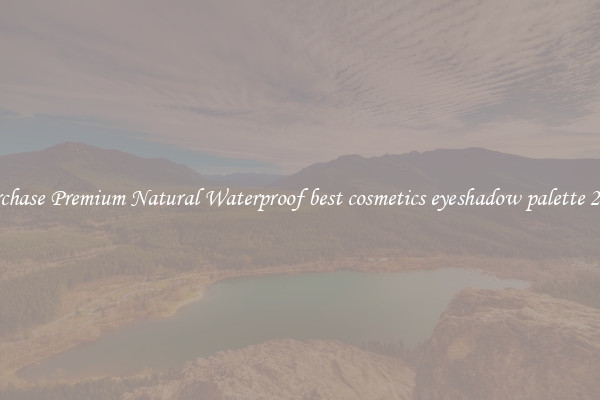 Purchase Premium Natural Waterproof best cosmetics eyeshadow palette 2024