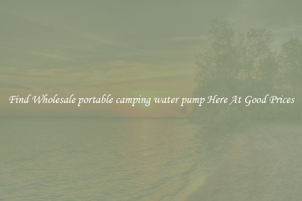 Find Wholesale portable camping water pump Here At Good Prices