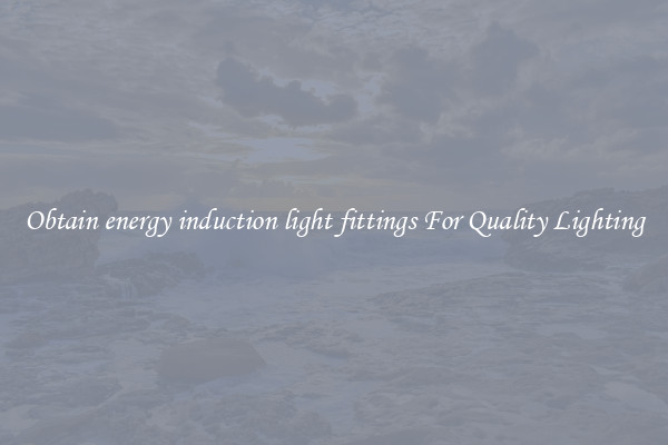 Obtain energy induction light fittings For Quality Lighting