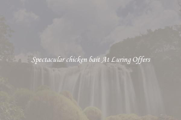Spectacular chicken bait At Luring Offers