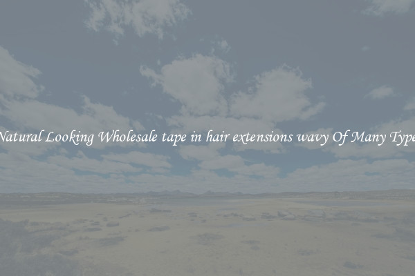 Natural Looking Wholesale tape in hair extensions wavy Of Many Types