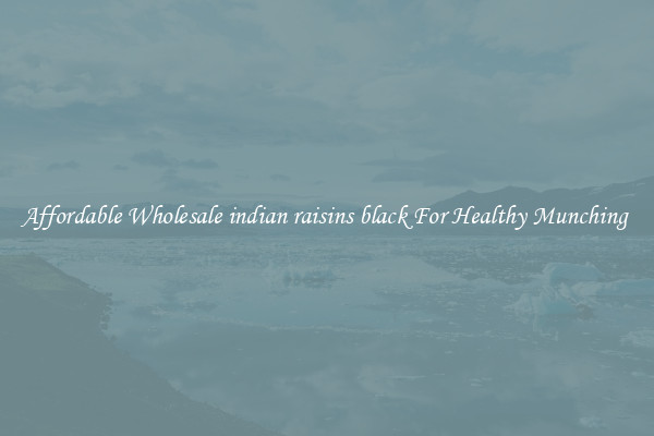 Affordable Wholesale indian raisins black For Healthy Munching 