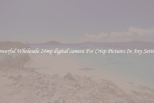 Powerful Wholesale 24mp digital camera For Crisp Pictures In Any Setting