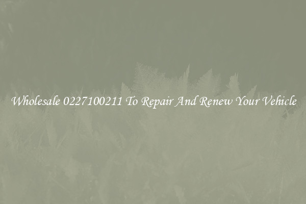Wholesale 0227100211 To Repair And Renew Your Vehicle